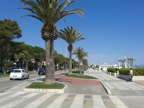 Roseto, trattamento delle palme: interventi per 48mila euro