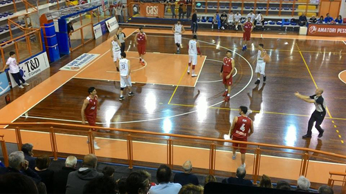 basket Amatori-Campli