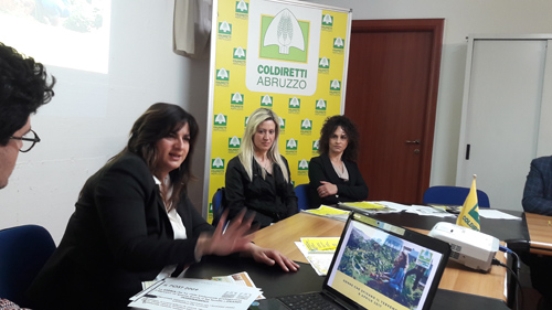 donne - da sinistra ripani, vellante e intini