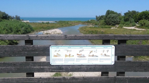 ponte ciclo-pedonale sul Tordino