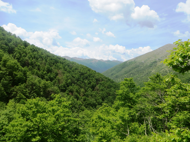 Foresta Vetusta della Val Cervara