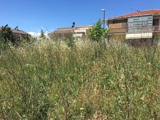 degrado parchi cittadini Pescara 02