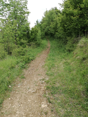 sterrato a Fara Filiorum Petri