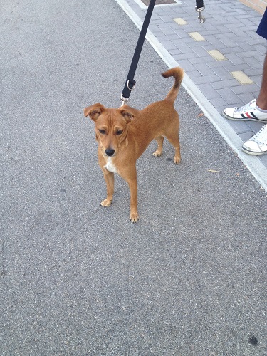 Billy