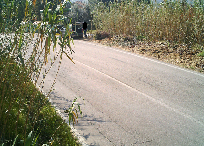 abbandono foto trappola Montesilvano