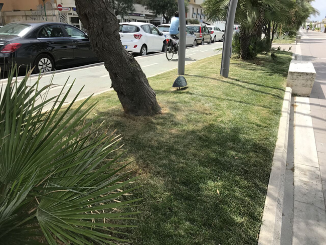 erbetta riviera Pescara 2