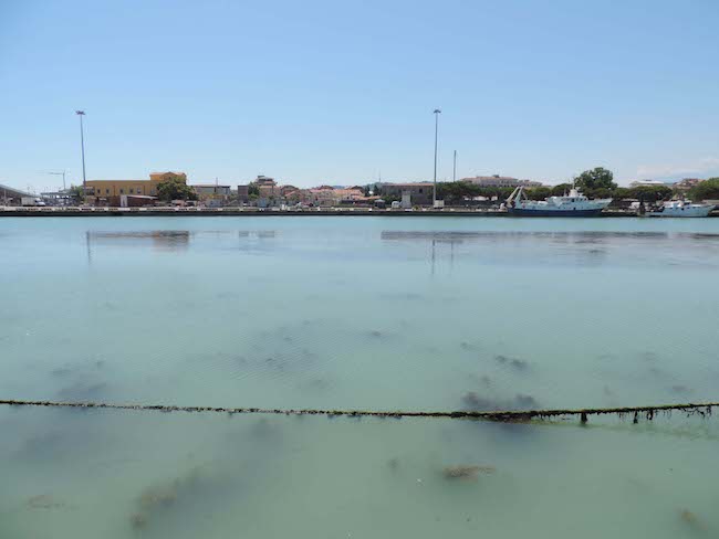 sversamenti fiume Pescara