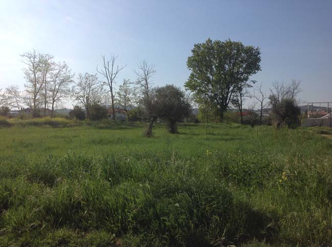 via Don Montesilvano orto urbano