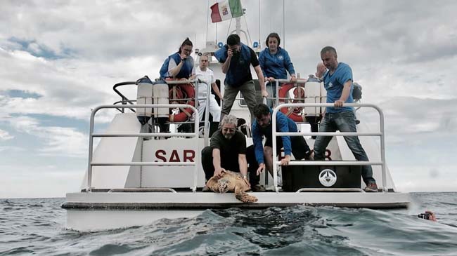Escursione e rilascio di una Tartaruga Marina