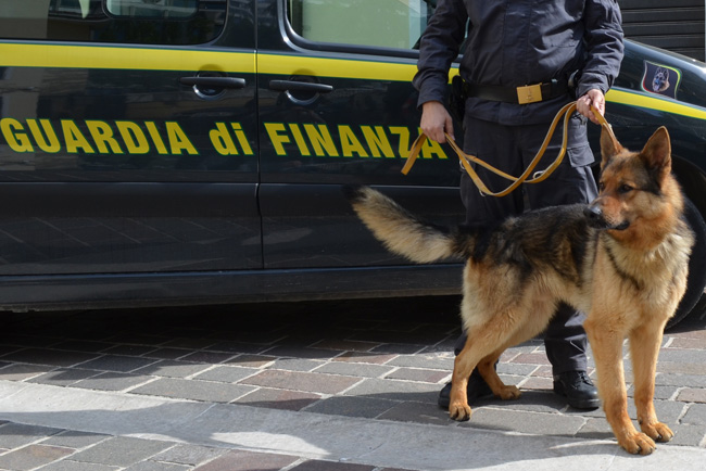 cane antidroga GdF