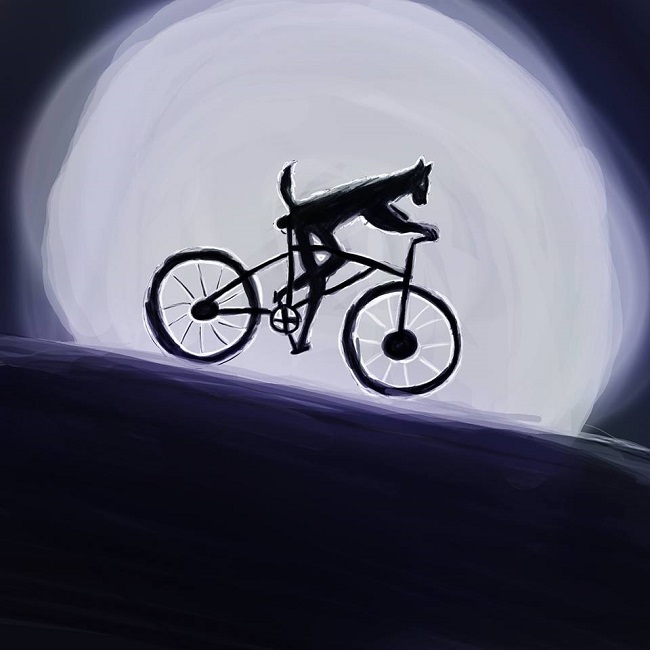sogno di una notte in luna piena in mountain bike