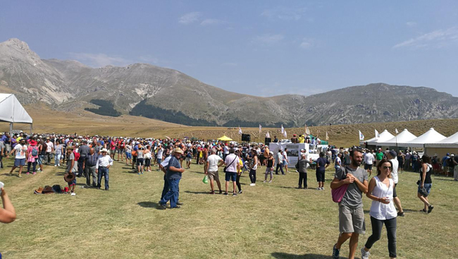 58 rassegna ovini a Campo Imperatore