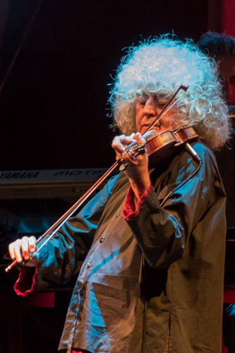 Angelo Branduardi al violino