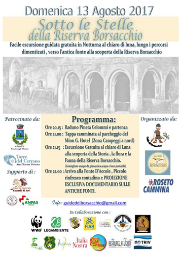 locandina social Borsacchio