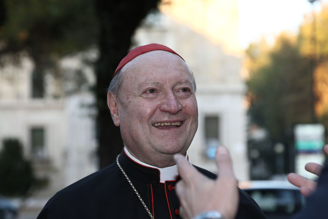 Cardinal Ravasi