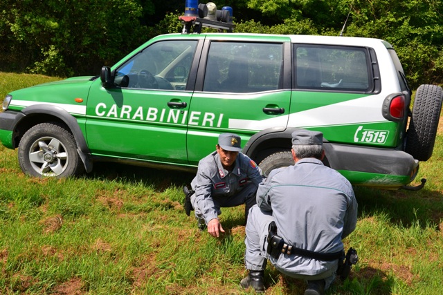 carabinieri-forestali