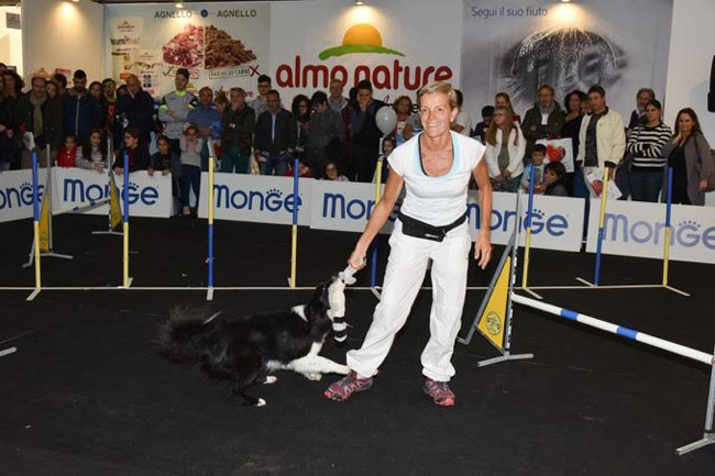 esibizione cane
