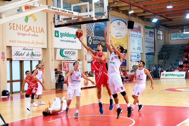 milojevic Teramo Basket 1960