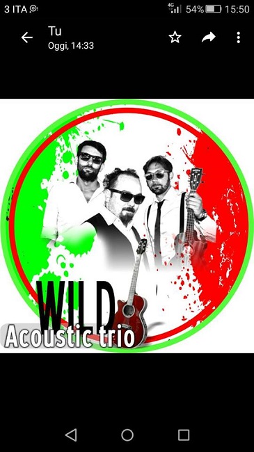 wild acustic trio