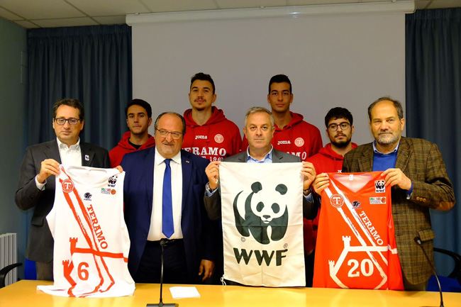 wwf teramo basket