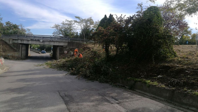 interventi pulizia a Martinsicuro