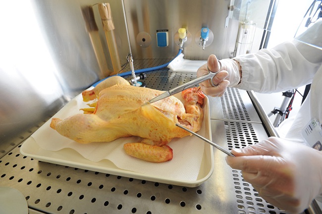 Analisi_SicurezzaAlimentare_IZSAM