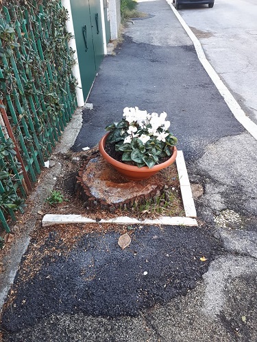 silvi verde urbano 2