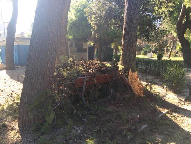 Roseto al Centro, ecco quello che non va in città