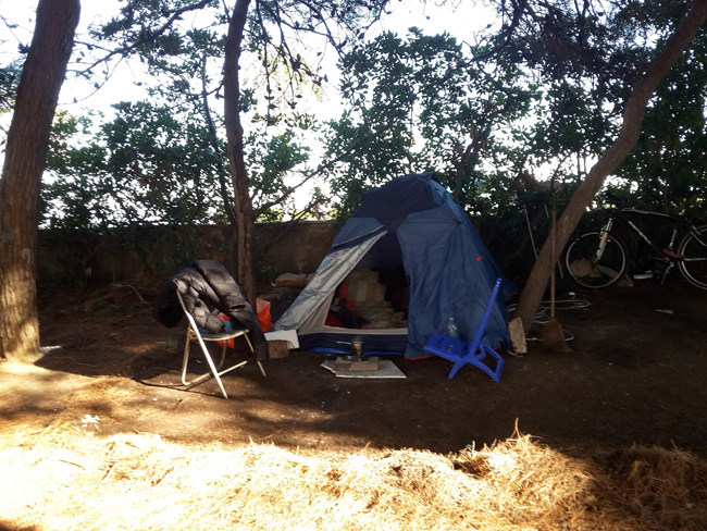 Montesilvano, bivacco alla pineta: nuovo sgombero questa mattina