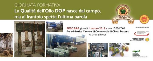 La Qualità dell'Olio DOP nasce dal campo