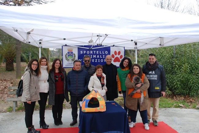 festa del gatto 2018