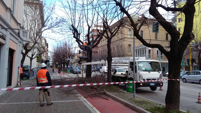 potature viale d'Annunzio