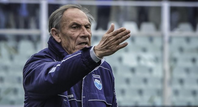 Zeman