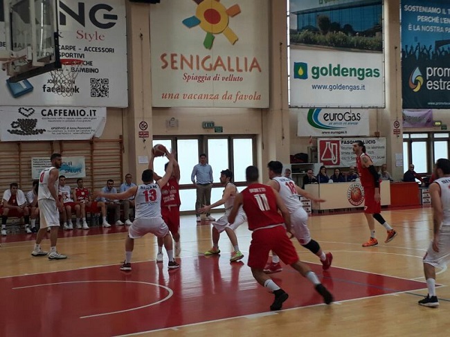 Civitanova Amatori basket