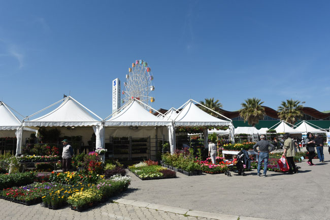 esposizioni florviva