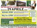 gara raccolta asparagi selvatici 29 aprile