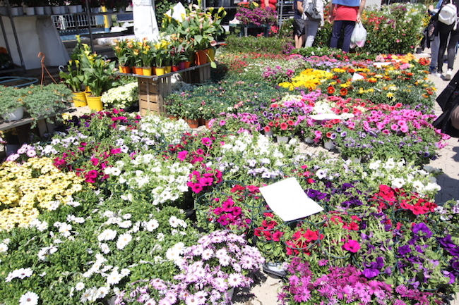 Pescara Mostra del Fiore 2018