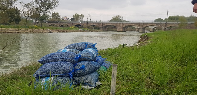 Montesilvano, sequestrati 330 chilogrammi di vongole