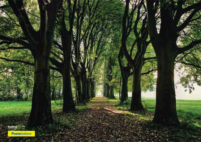 strade naturali fronte