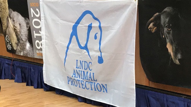 congresso lndc Pescara