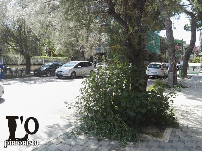 degrado erba alta Pescara