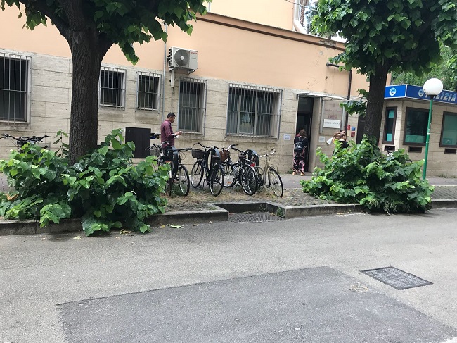 emergenza verde via Pesaro Pescara