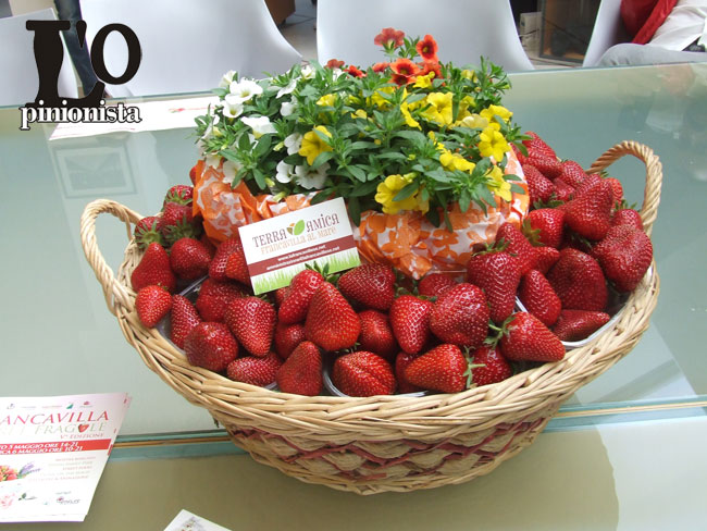 fiori fragole