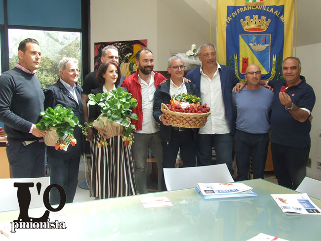 presentazione Francavilla fiori fragole