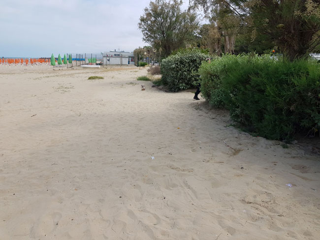 sgombero Montesilvano 10 maggio 2018