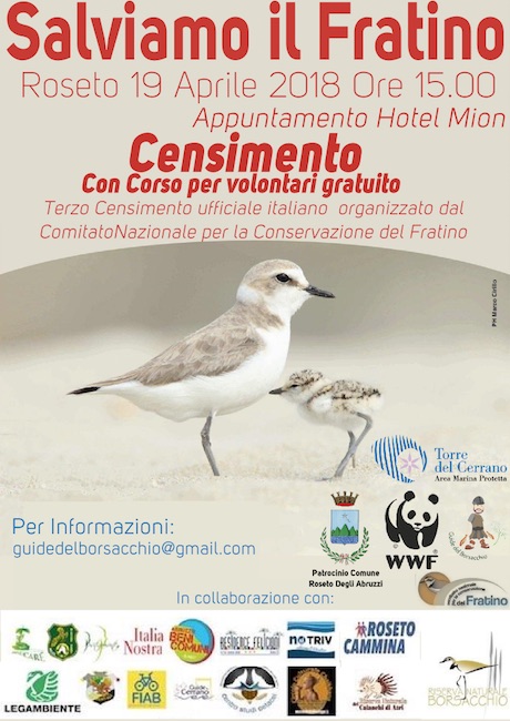 sondaggio salviamo fratino