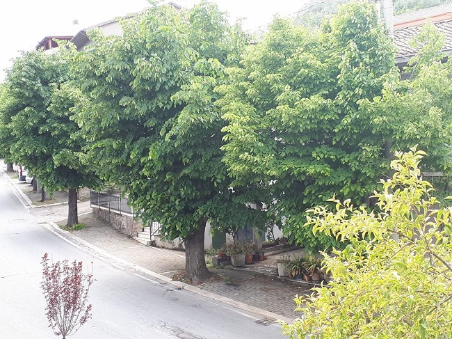 via cappuccini Loreto