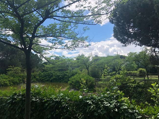 Parco della libertà Montesilvano