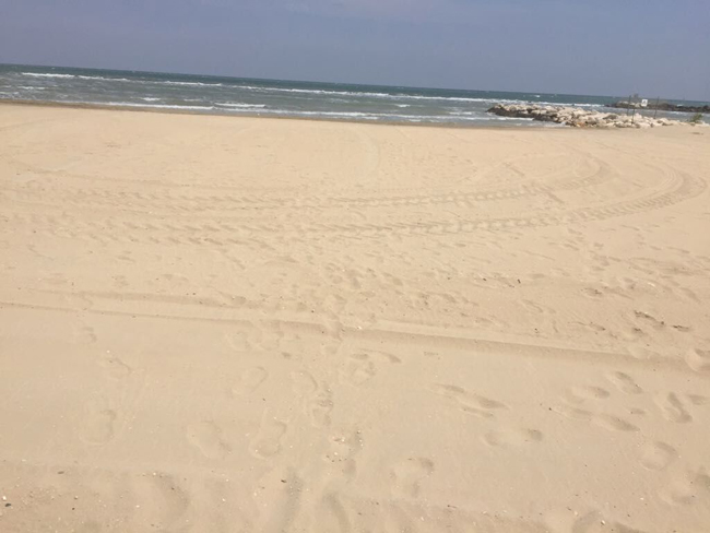 spiaggia Pescara pulita