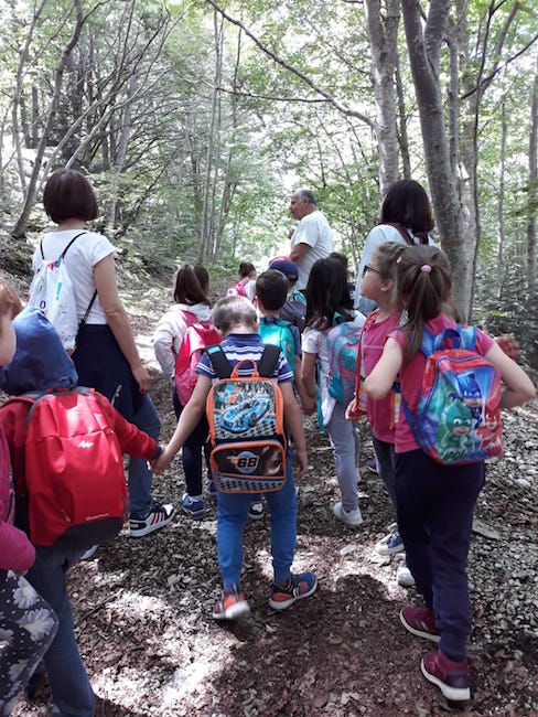fauna del parco